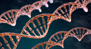 Read more about the article Targeting DNA-Repair Defects To Battle Cancer