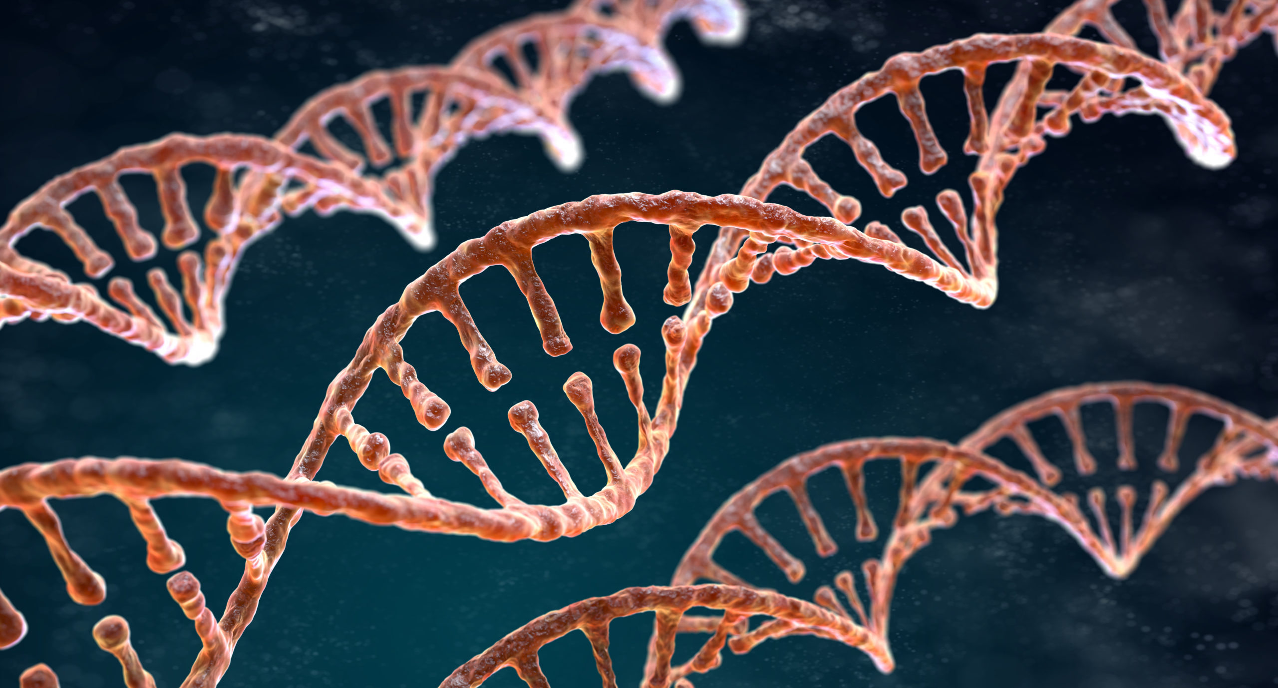 Read more about the article Targeting DNA-Repair Defects To Battle Cancer
